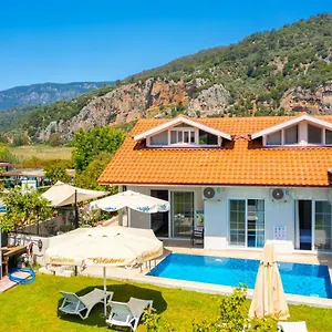 https://villa-zonkdemir.aegeanhotels.net